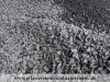 Füllung aus Naturstein (Basalt aus Polen) für Gabionen/ Befüllung für Gabionen, Basalt aus Polen für Gabionen – Gabionenfüllung / Basaltschotter 31,5-63 mm (grau-schwarz), Basalt für eine Gabionenmauer / Natursteinmauer, Gabionenwand