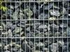 Gabionenstützmauer, Ziersteine / Eckige Steine aus Serpentin - Serpentinit für Gabionen (Natursteine aus Polen)