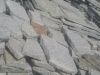 Polygonalplatten aus Granit (Granit aus Polen), „Krustenplatten“, Platten für den Garten- und Landschaftsbau, Gehwegplatten, Abdeckplatten, Polygonalplatten, Terrassenplatten, Naturstein aus Polen, unterschiedliche Farben, Formate